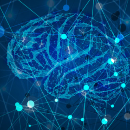 Digital Graphic of the Human Brain