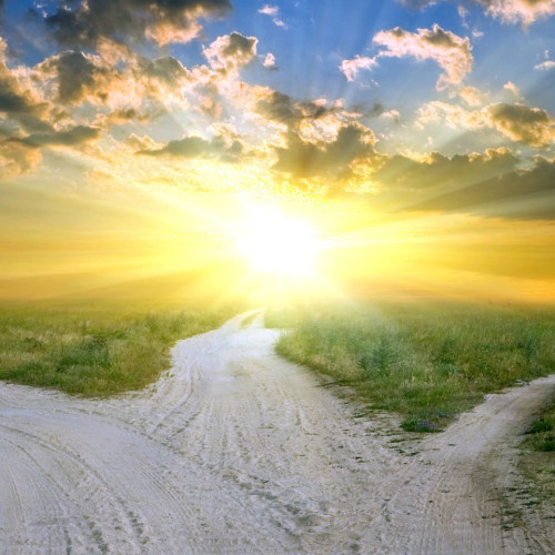 3 Different Paths At the Horizon
