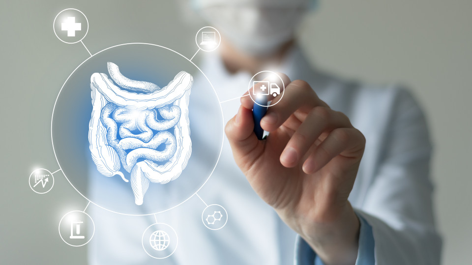 Medical Graphic of Intestines