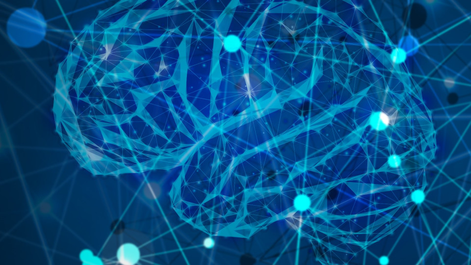 Digital Graphic of the Human Brain