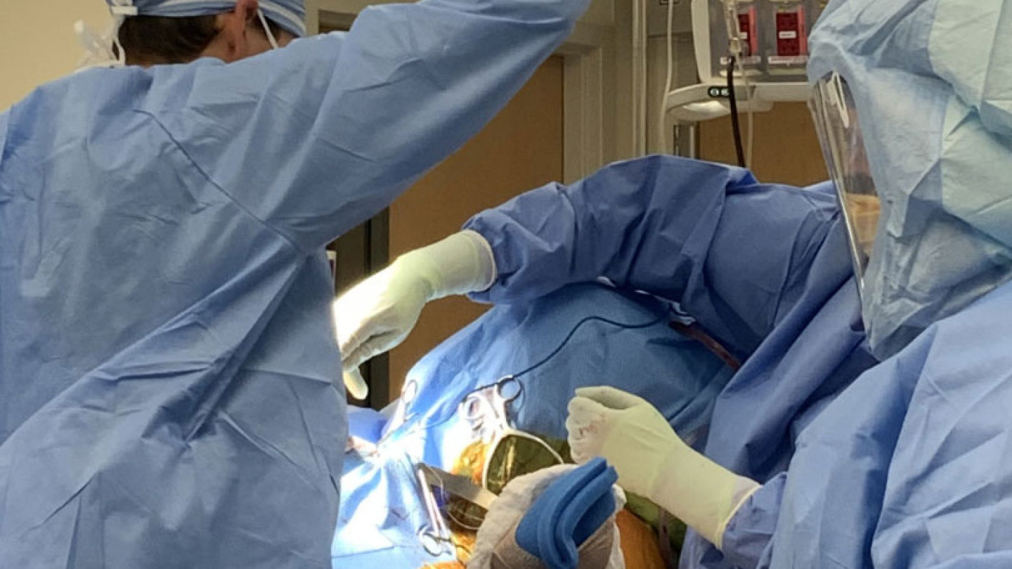 Surgery Photo 1
