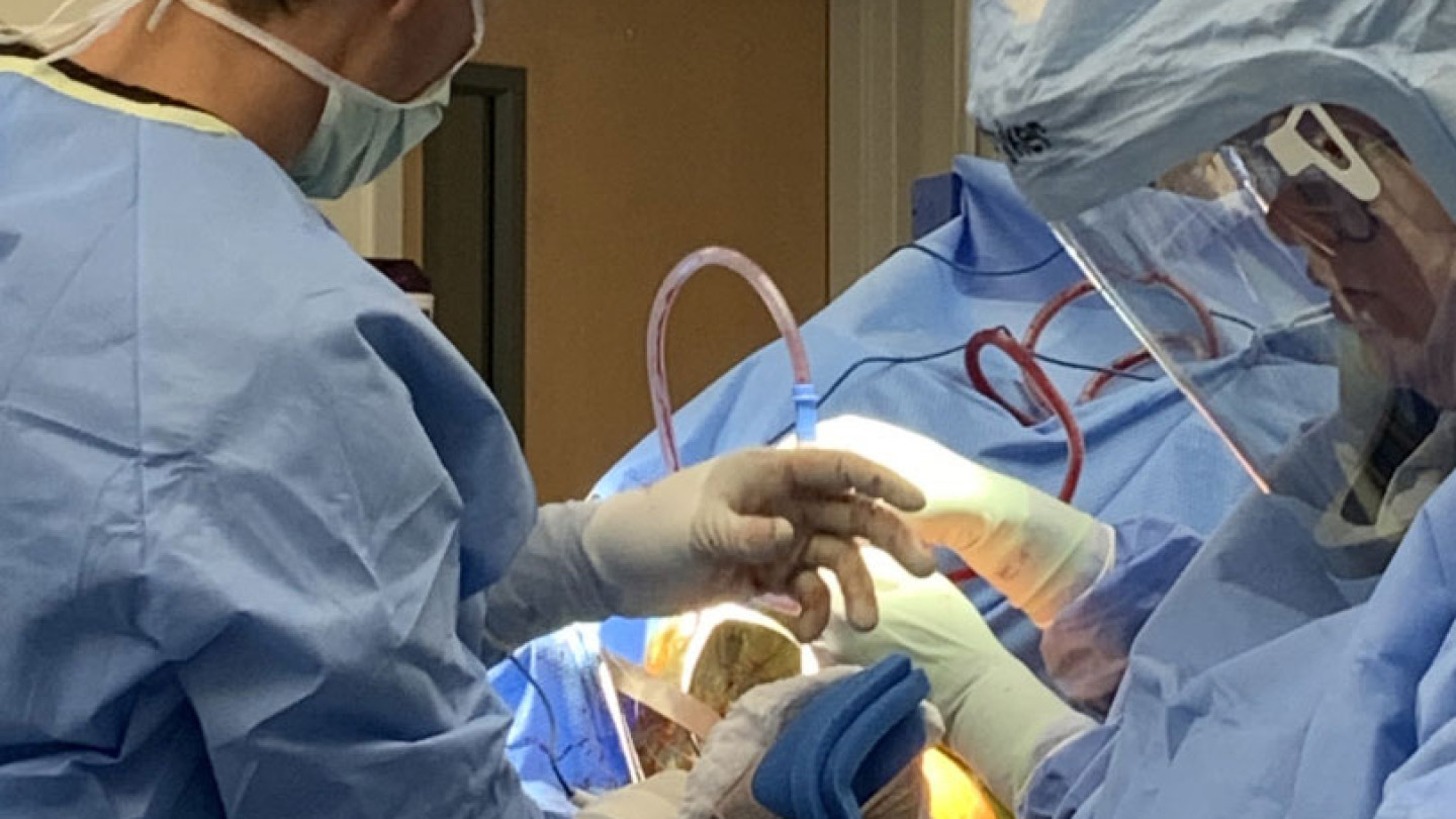 Surgery Photo 2