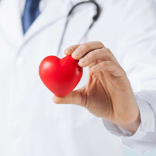 Medical Professional Holding Heart