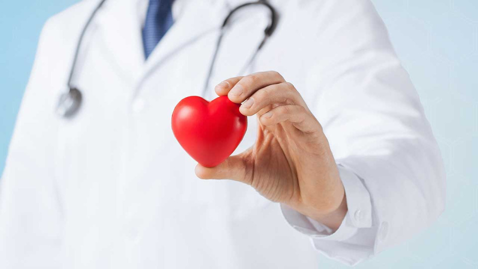 Medical Professional Holding Heart